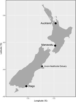 Interacting Roles of Breeding Geography and Early-Life Settlement in Godwit Migration Timing